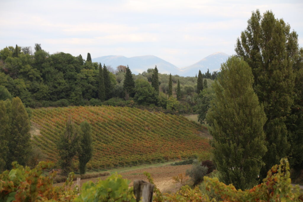 Colline di Sagrantino